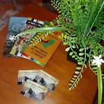 Casa Carlos Semesterbostad Isora